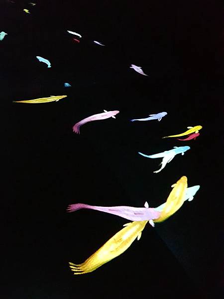 20180527_145637.jpg