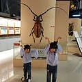 20180512_111935.jpg