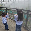 20180512_113900.jpg