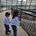 20180512_113801.jpg