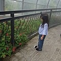 20180512_113342.jpg