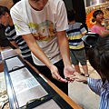 20180512_125147.jpg