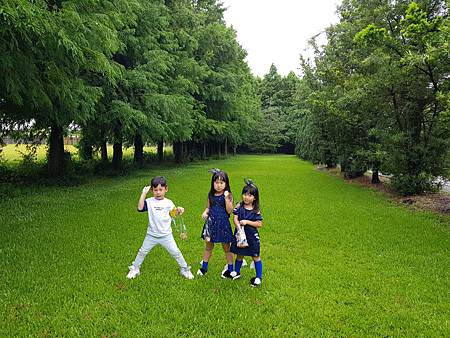 20180617_170814.jpg