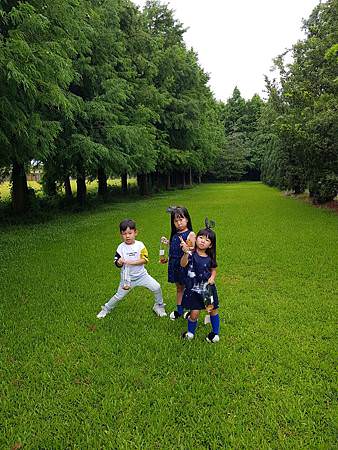 20180617_170833.jpg