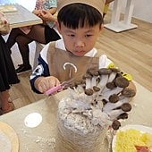 20180617_154506.jpg