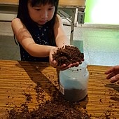 20180617_164233.jpg