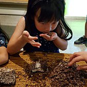 20180617_163815.jpg