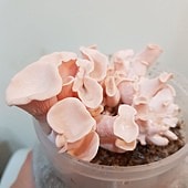 20180629_211457.jpg
