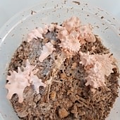 20180628_191309.jpg
