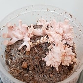 20180629_022054.jpg